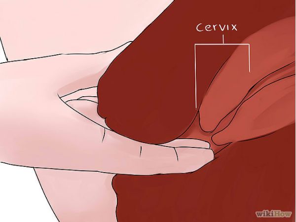 670px-Feel-Your-Cervix-Step-4-Version-2