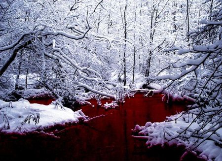 sangreynieve